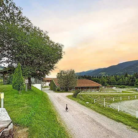 Daire Edelweiss 8 By Interhome
